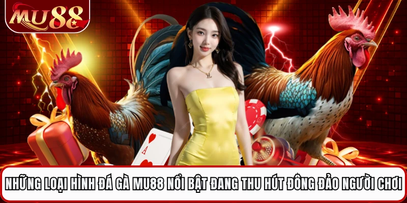Những loại hình đá gà MU88 nổi bật đang thu hút đông đảo người chơi 